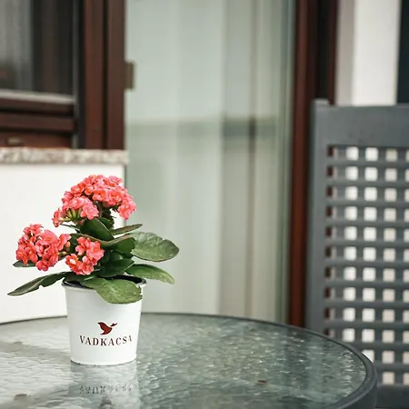 Vadkacsa Panzio B&B 3*