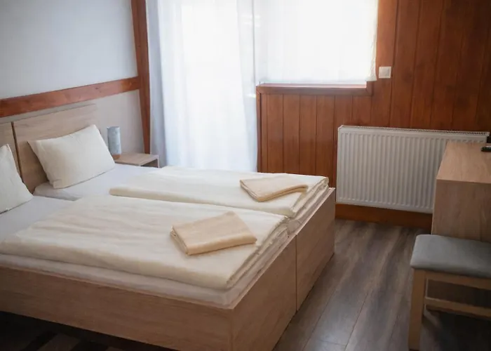 Vadkacsa Panzio 3*