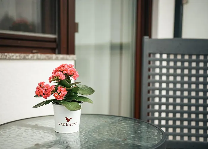 Vadkacsa Panzio Couette-café 3*