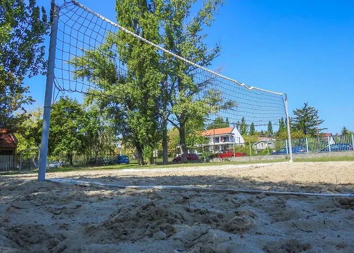 Vadkacsa Panzio